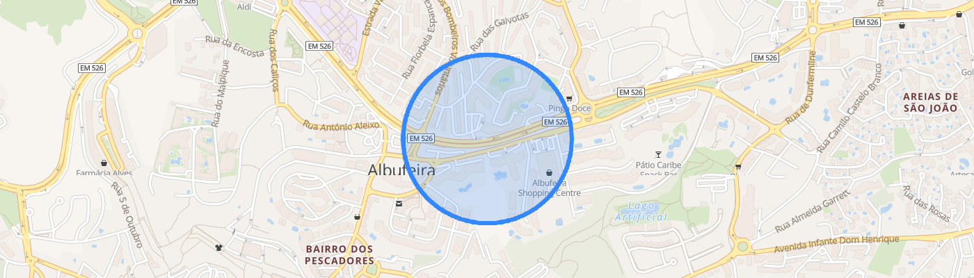 listing-map-picture