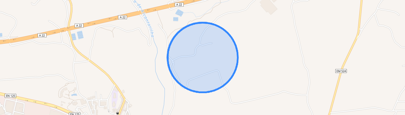 listing-map-picture