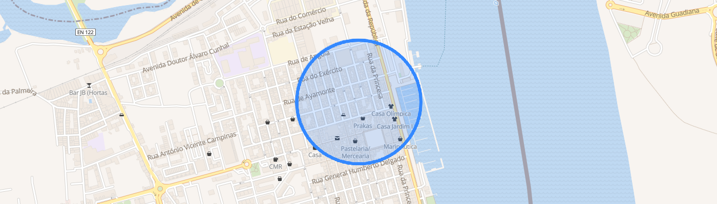 listing-map-picture