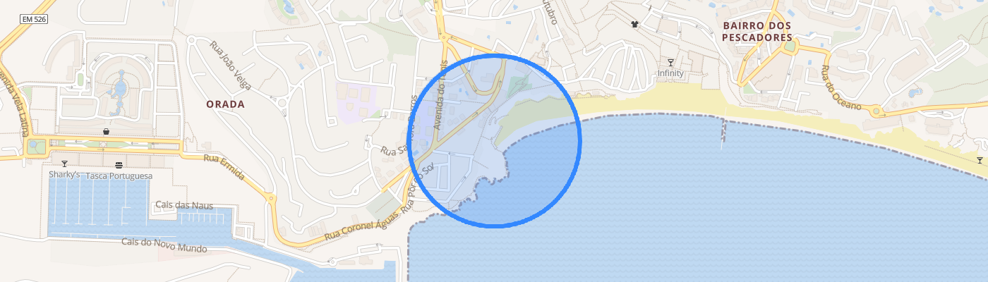 listing-map-picture