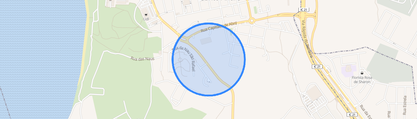 listing-map-picture