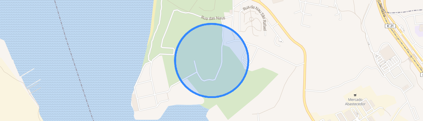 listing-map-picture