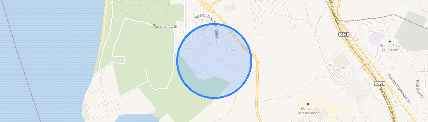 listing-map-picture