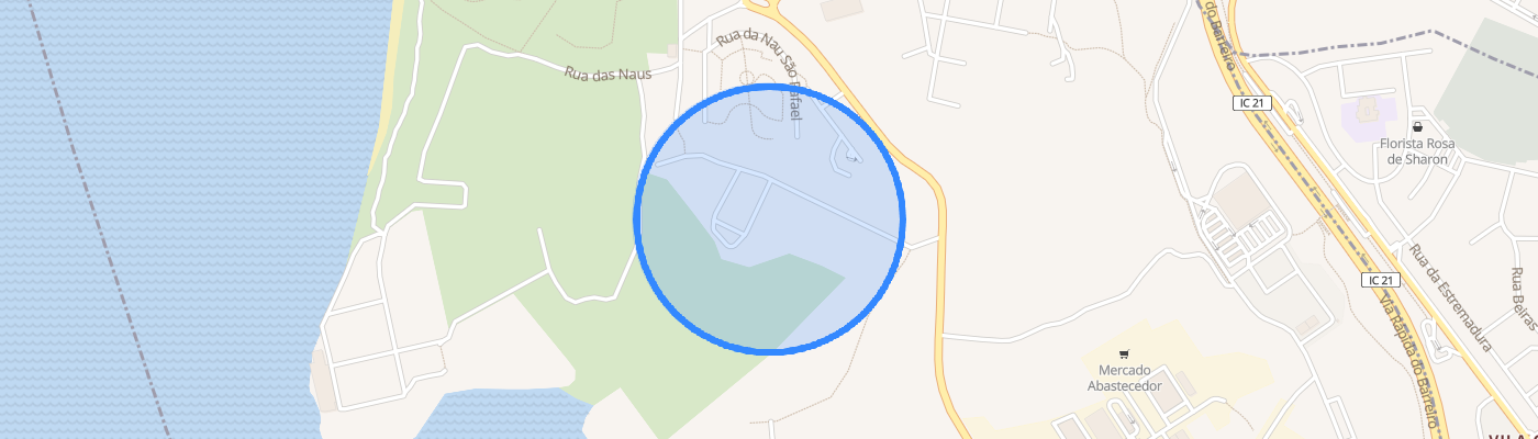 listing-map-picture