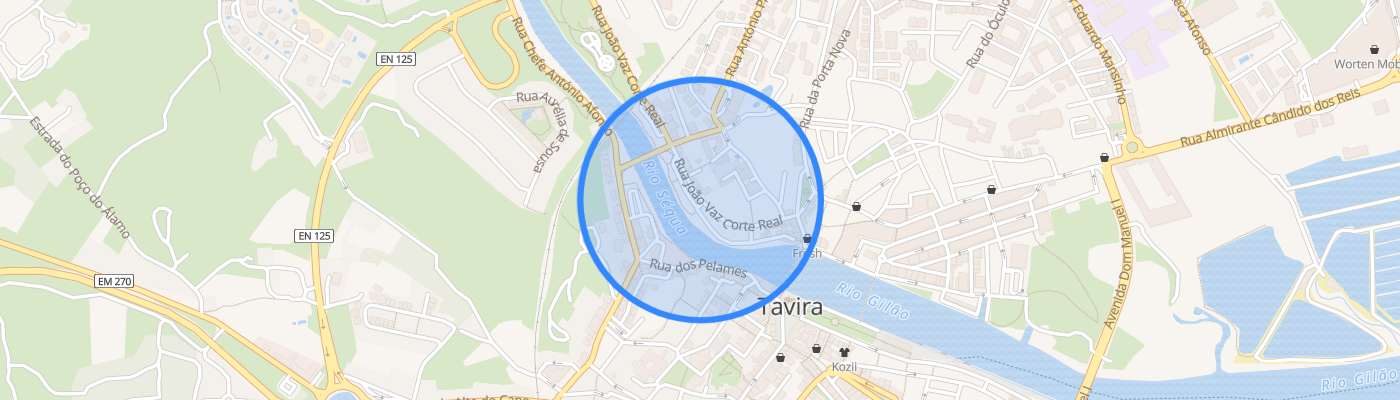 listing-map-picture