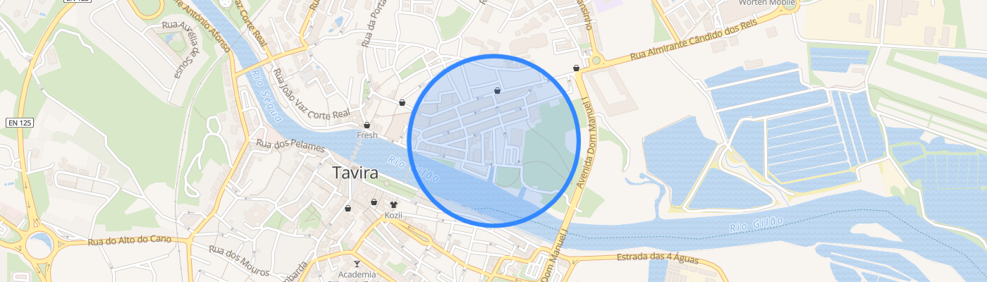 listing-map-picture