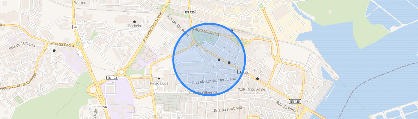 listing-map-picture