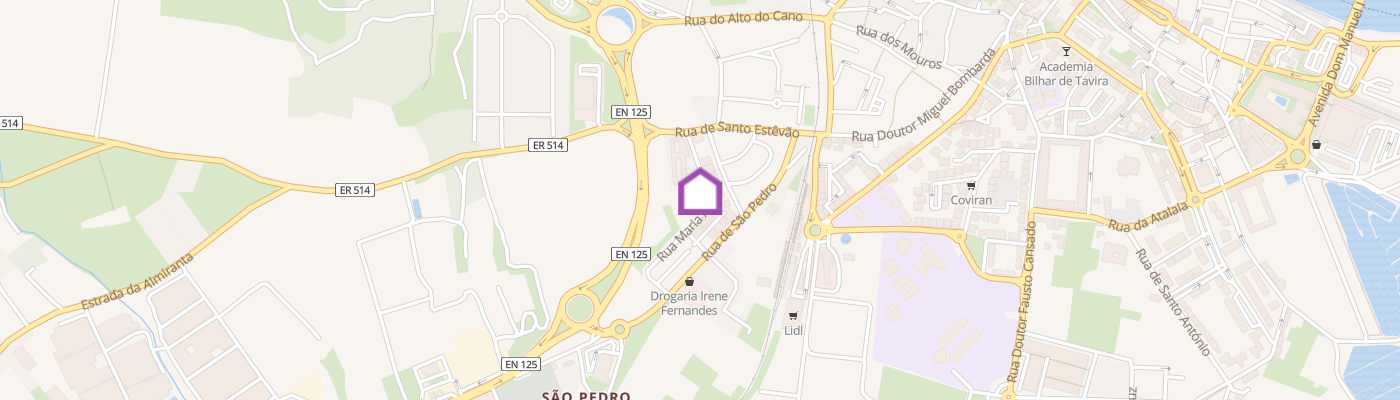listing-map-picture