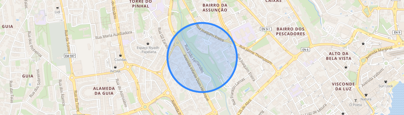 listing-map-picture