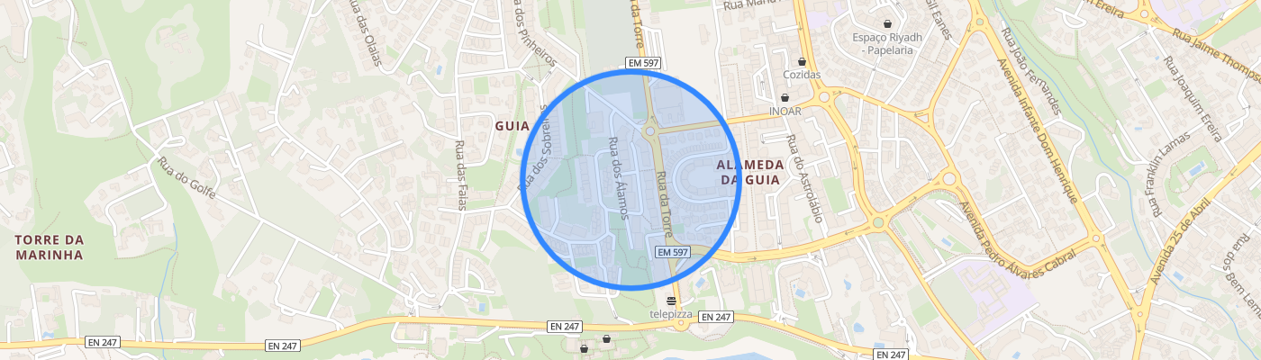 listing-map-picture