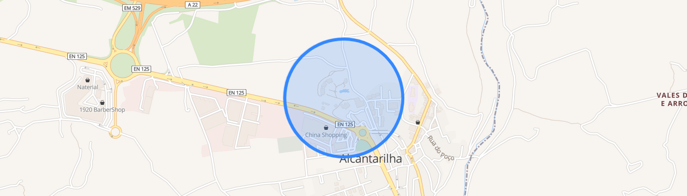 listing-map-picture