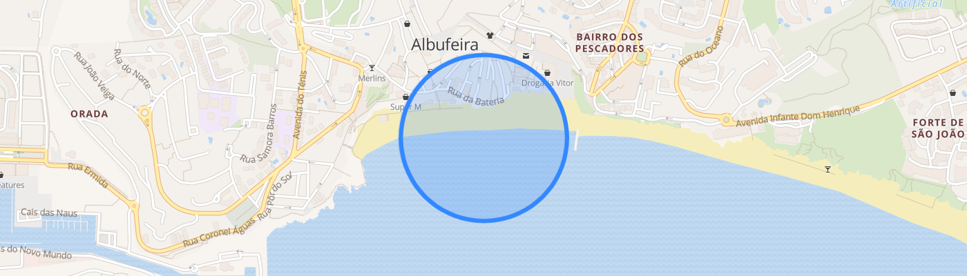 listing-map-picture