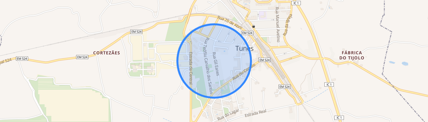 listing-map-picture