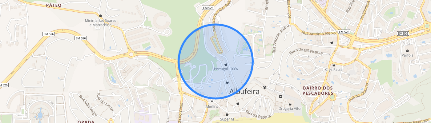listing-map-picture