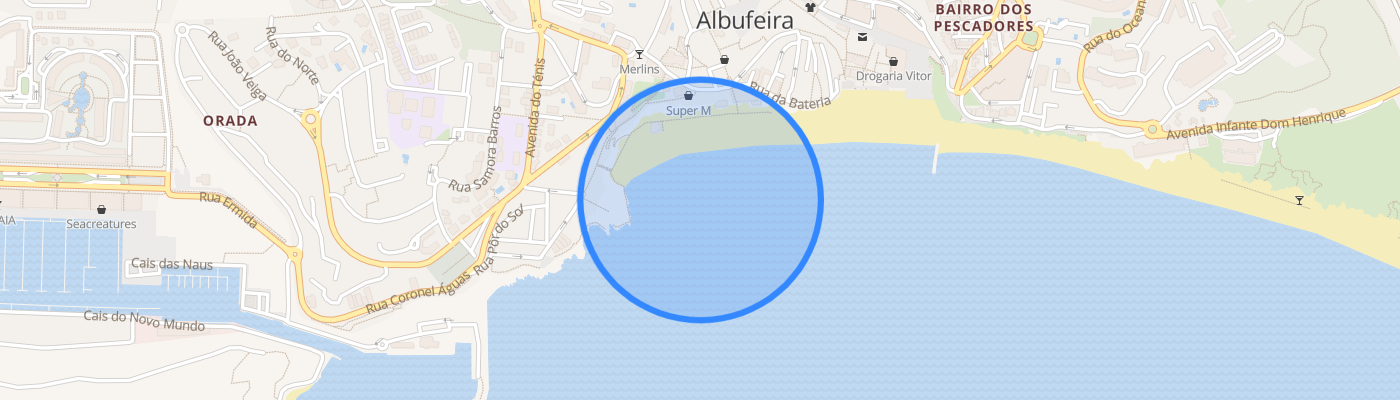 listing-map-picture