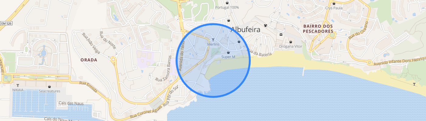 listing-map-picture