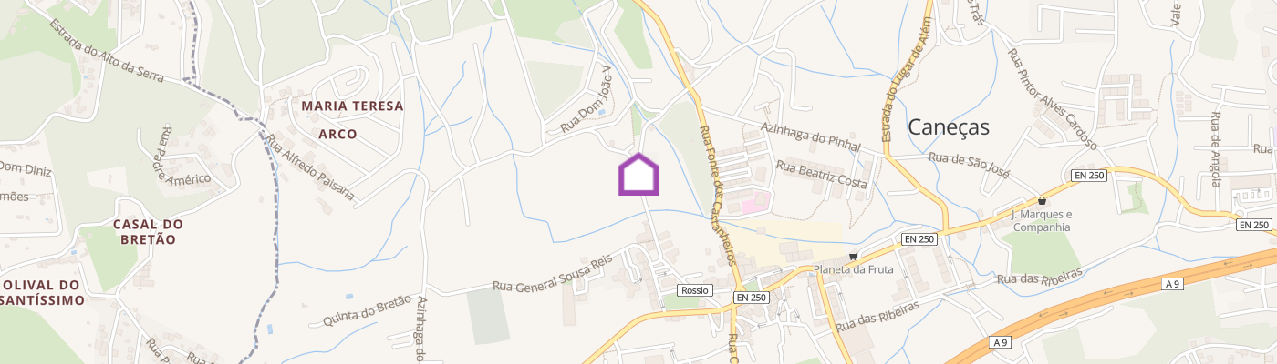 listing-map-picture