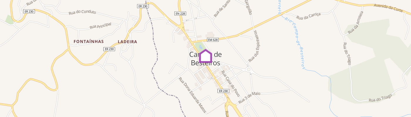 listing-map-picture