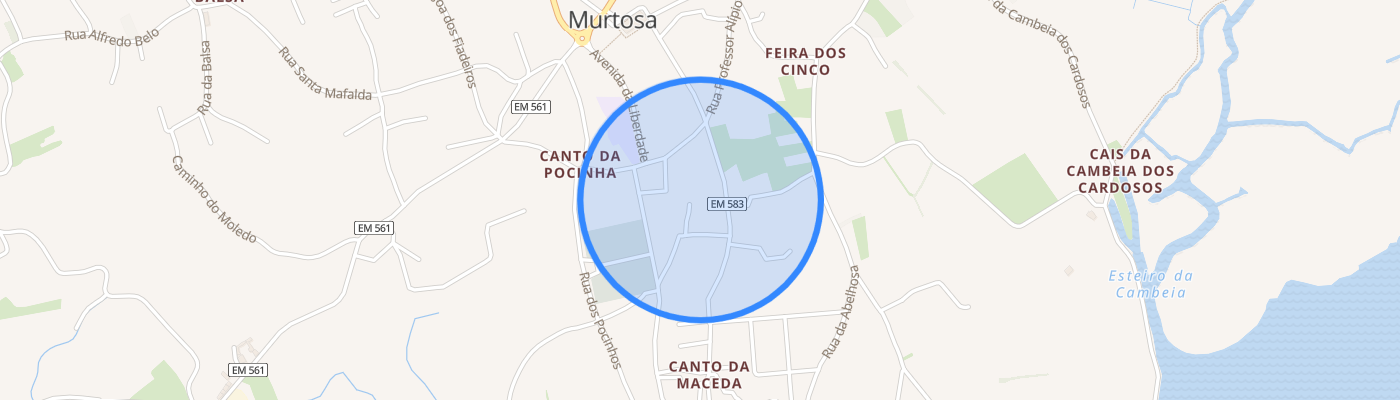 listing-map-picture