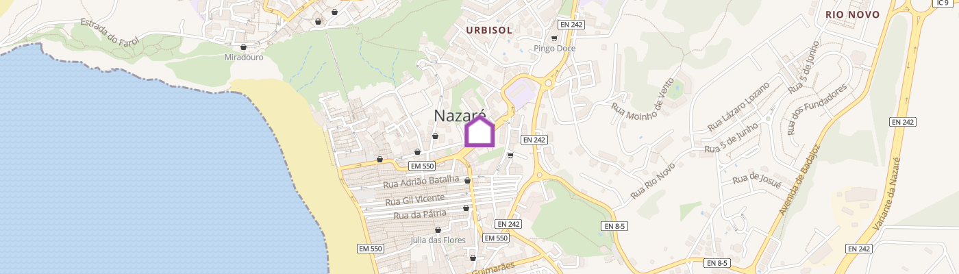 listing-map-picture