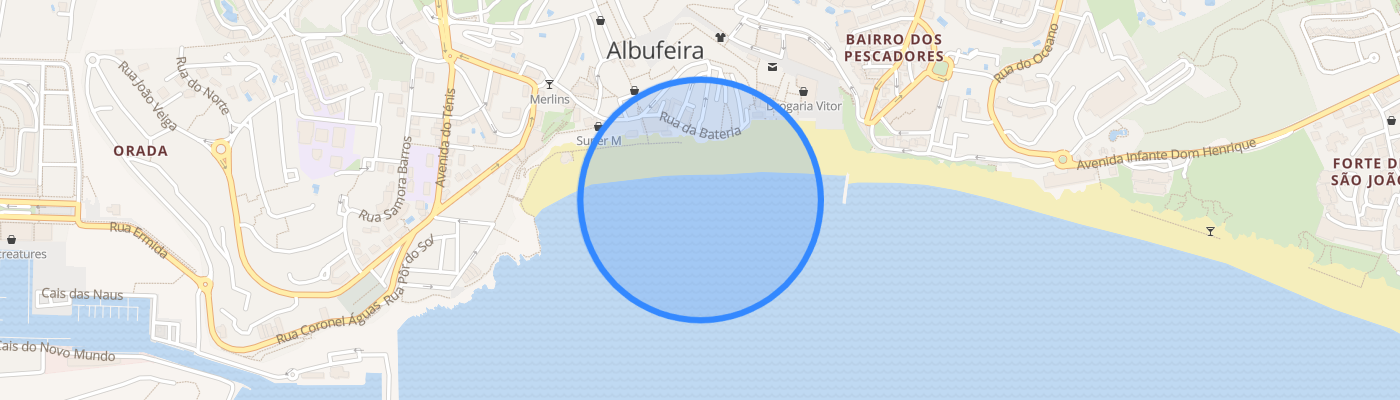 listing-map-picture