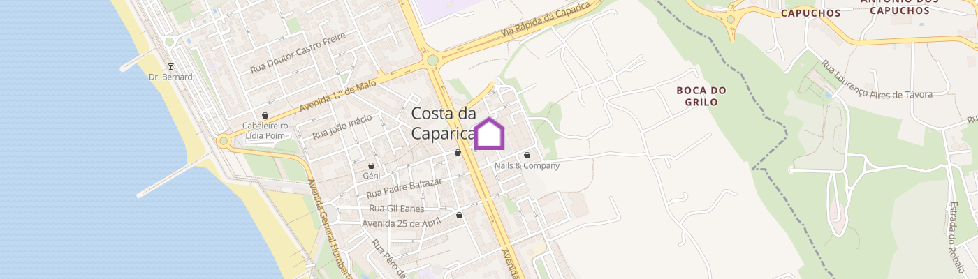 listing-map-picture