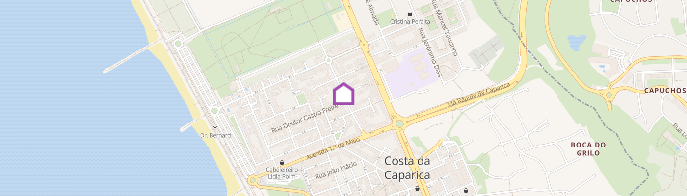 listing-map-picture