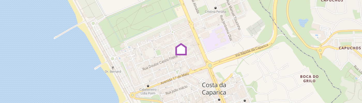 listing-map-picture