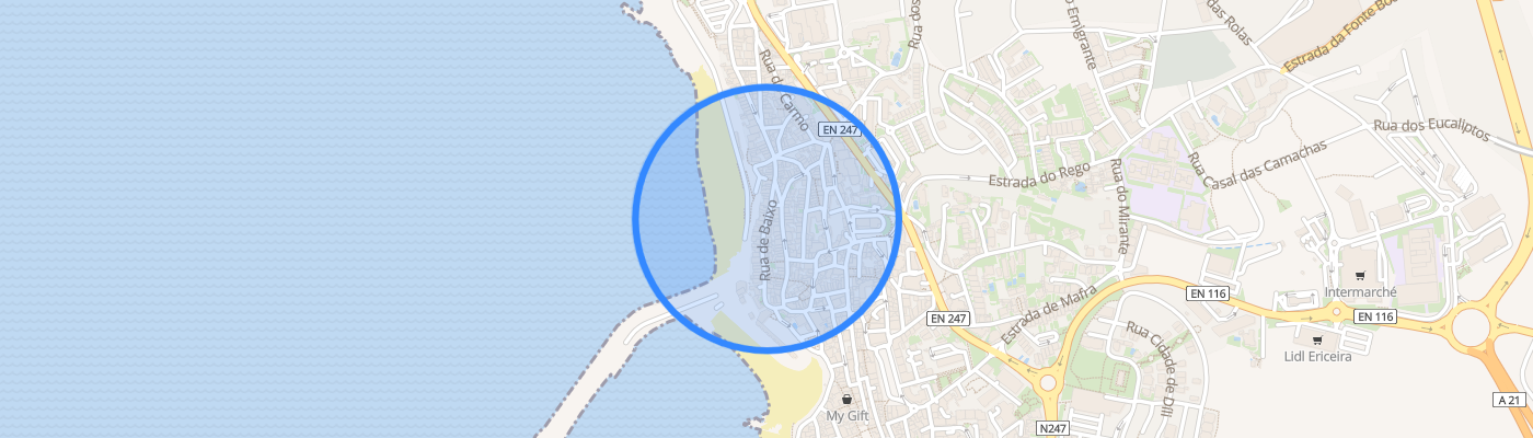 listing-map-picture