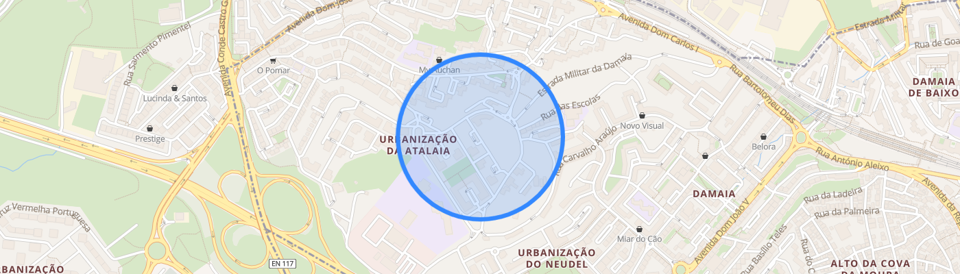 listing-map-picture