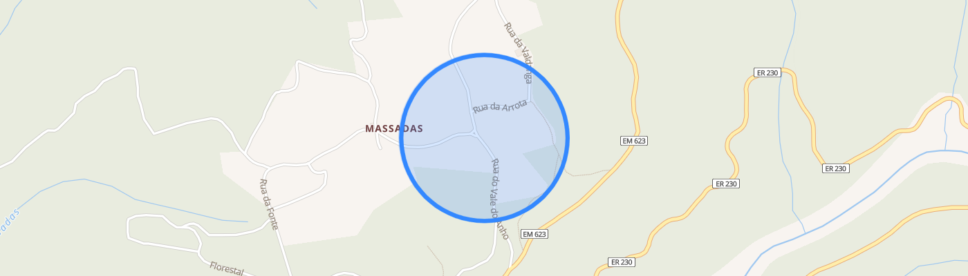 listing-map-picture