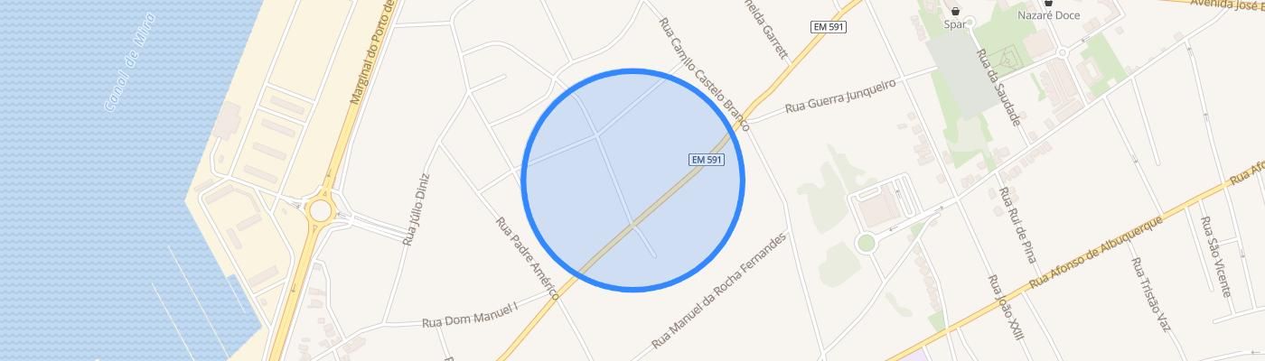 listing-map-picture