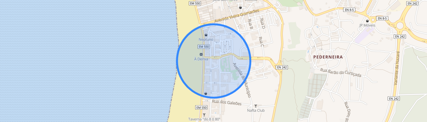 listing-map-picture