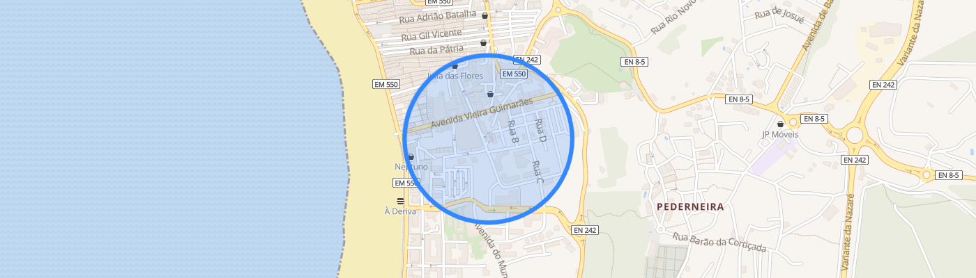 listing-map-picture
