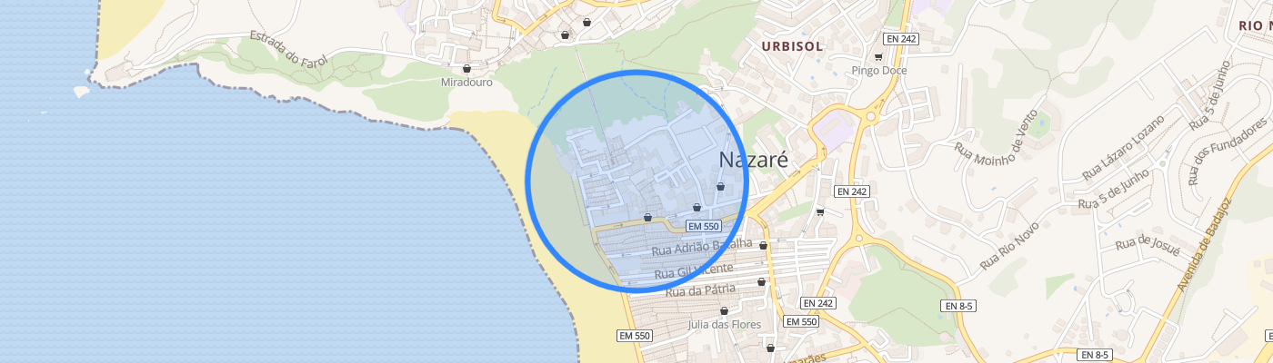 listing-map-picture