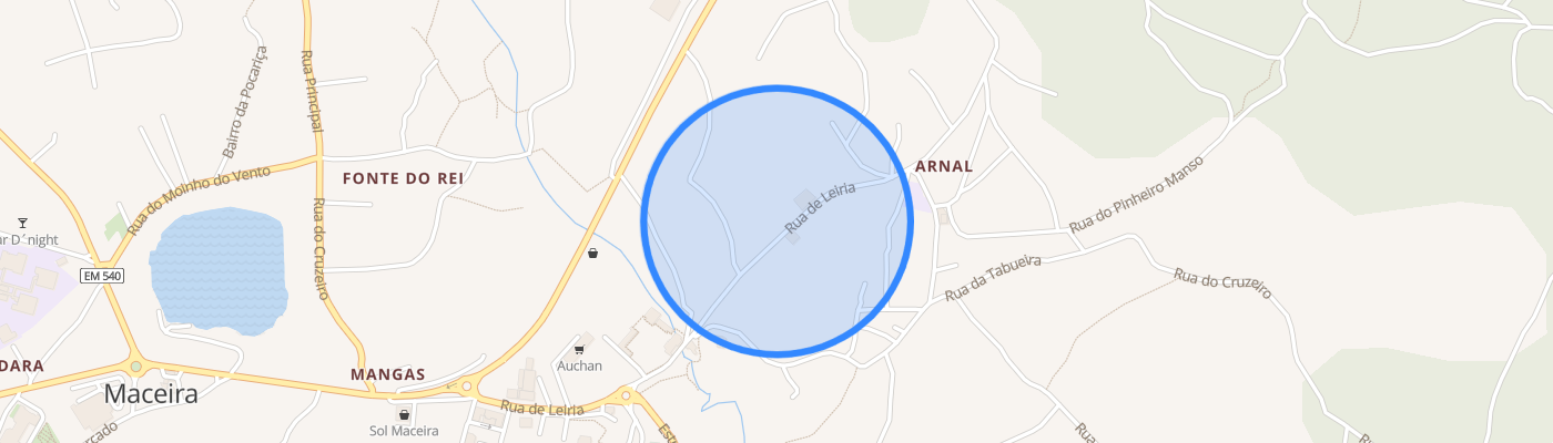 listing-map-picture