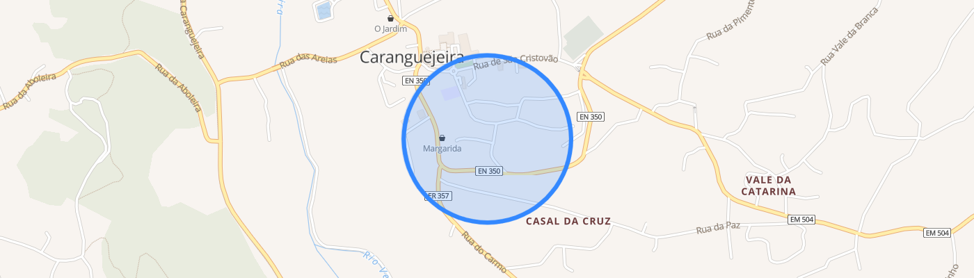 listing-map-picture