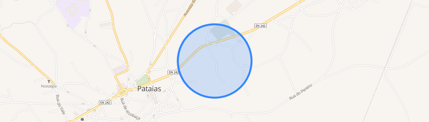 listing-map-picture