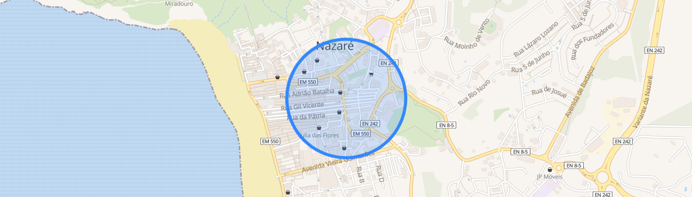 listing-map-picture