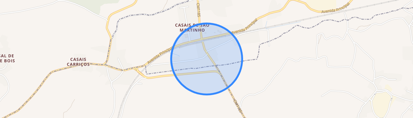 listing-map-picture