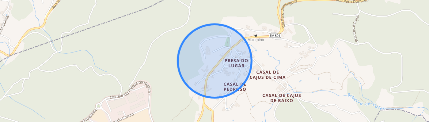 listing-map-picture
