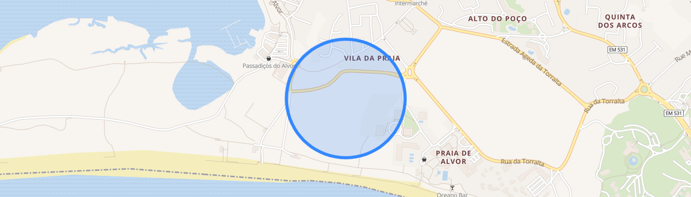 listing-map-picture