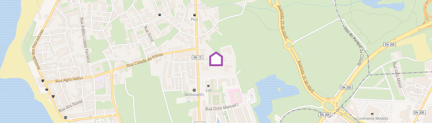 listing-map-picture