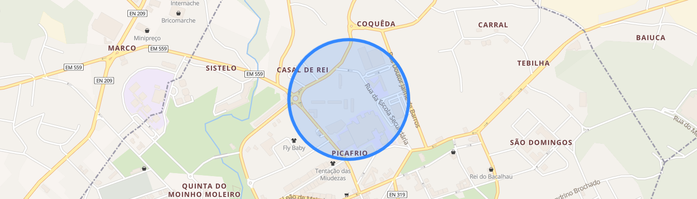 listing-map-picture