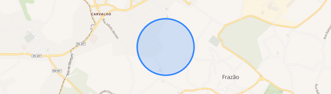 listing-map-picture