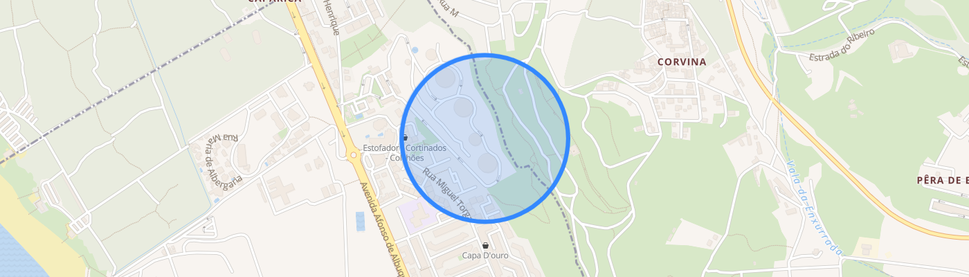 listing-map-picture
