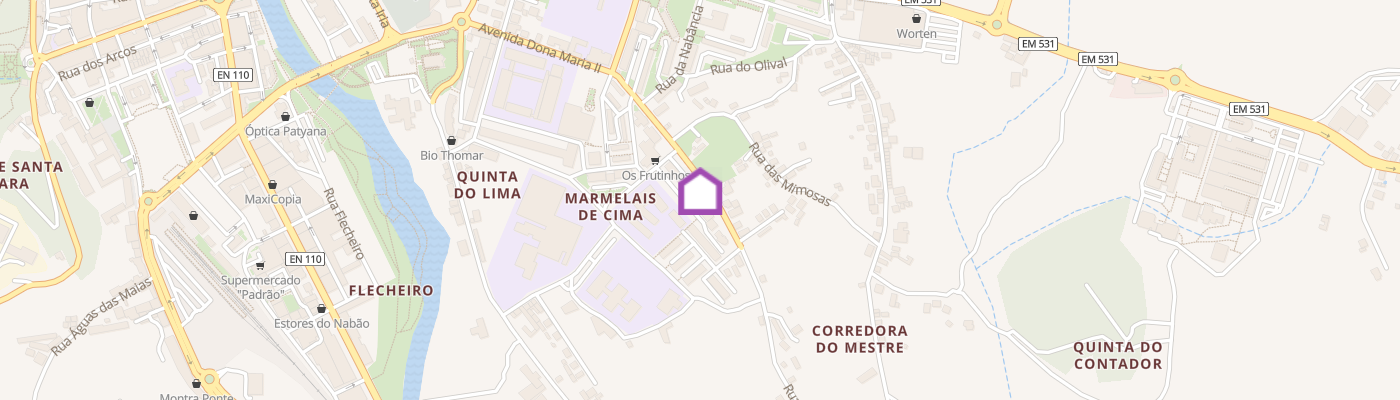 listing-map-picture
