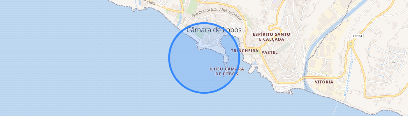 listing-map-picture