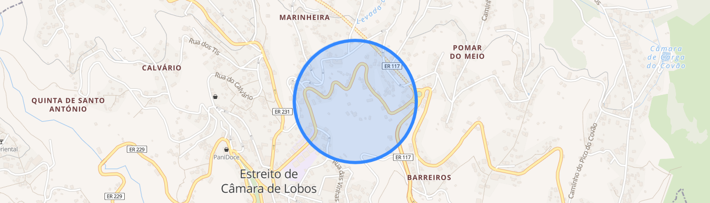 listing-map-picture