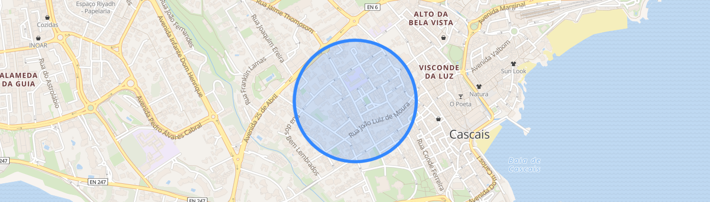 listing-map-picture